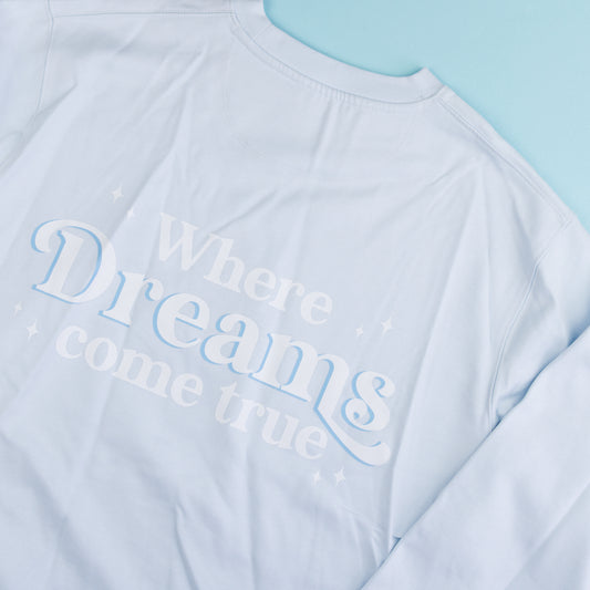 Sample - WDW Floral Light Blue Embroidered Jumper