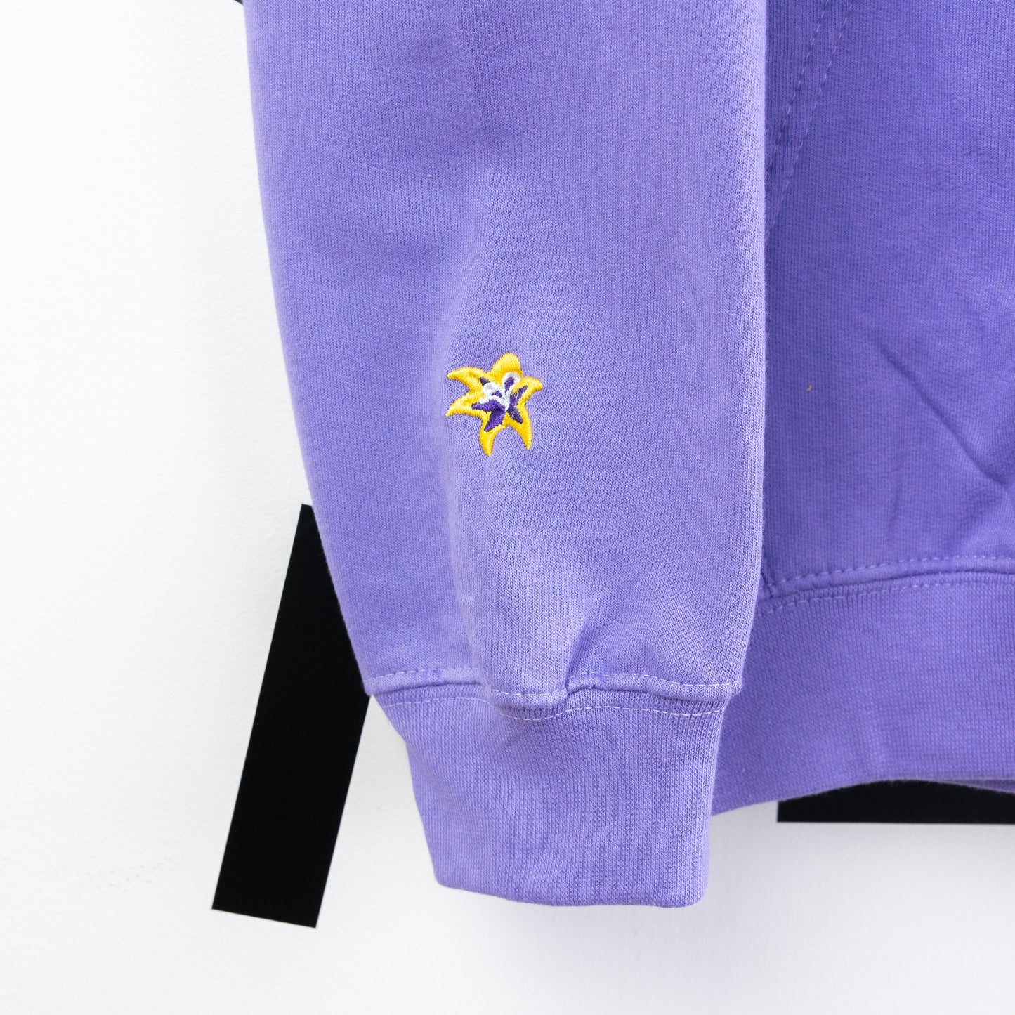Rapunzel Embroidered Purple Hoodie
