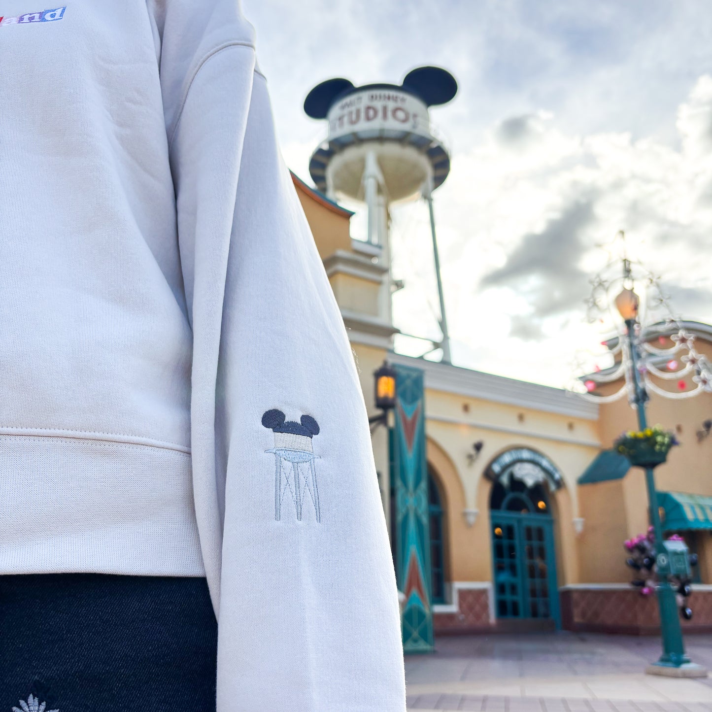 DLP Embroidered Women's Jumper