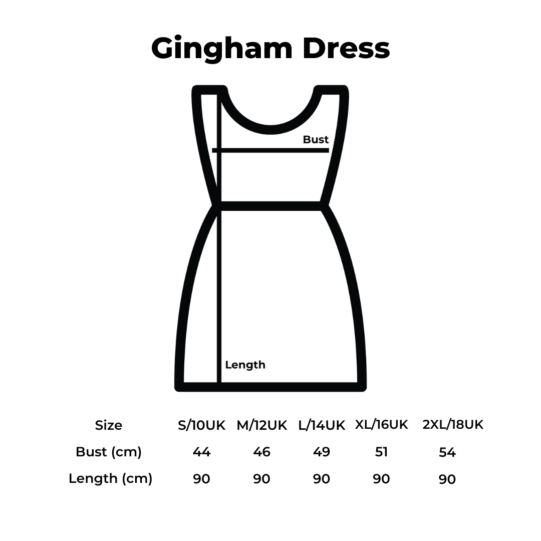 Donald Duck Embroidered Blue Gingham Dress